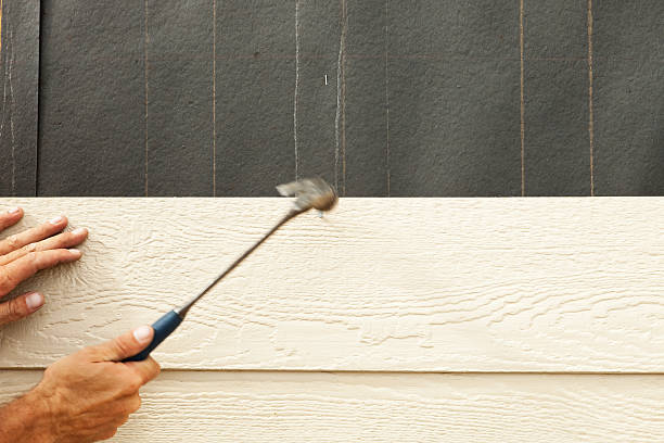 Best Vinyl Siding Installation  in Mississippi State, MS